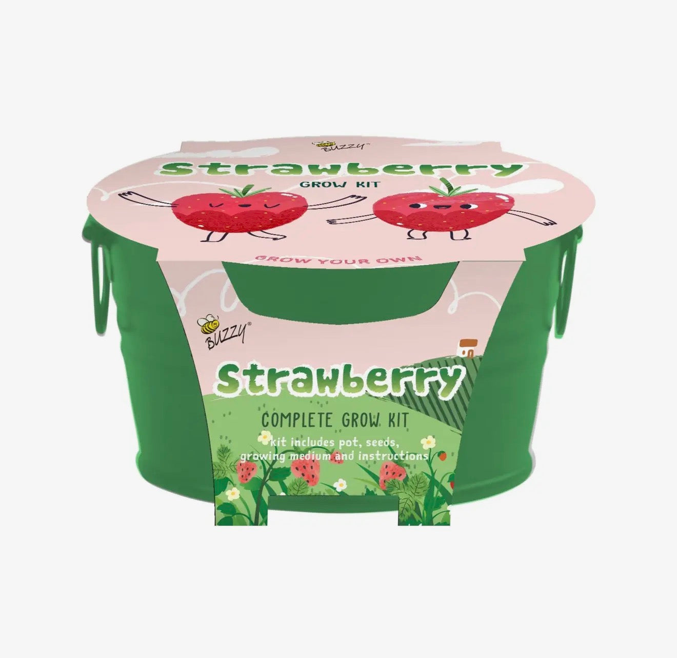 Mini Basin Strawberry Grow Kit