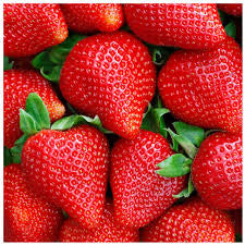 Wild Strawberry 100% Coconut Soy Wax Candle