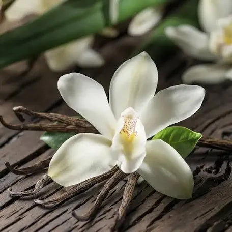 Vanilla Bliss 100% Coconut Soy Wax Candle