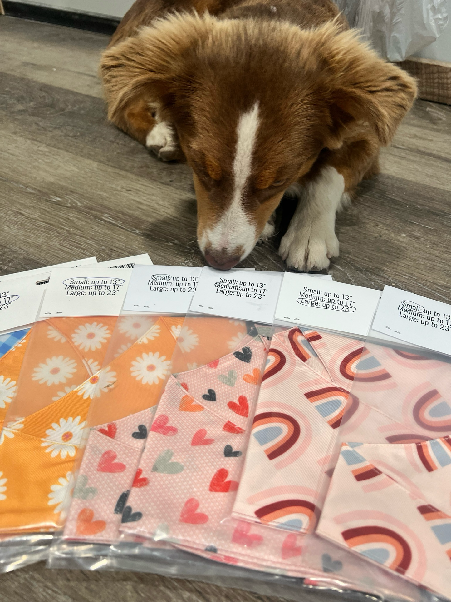 Dog Bandana’s