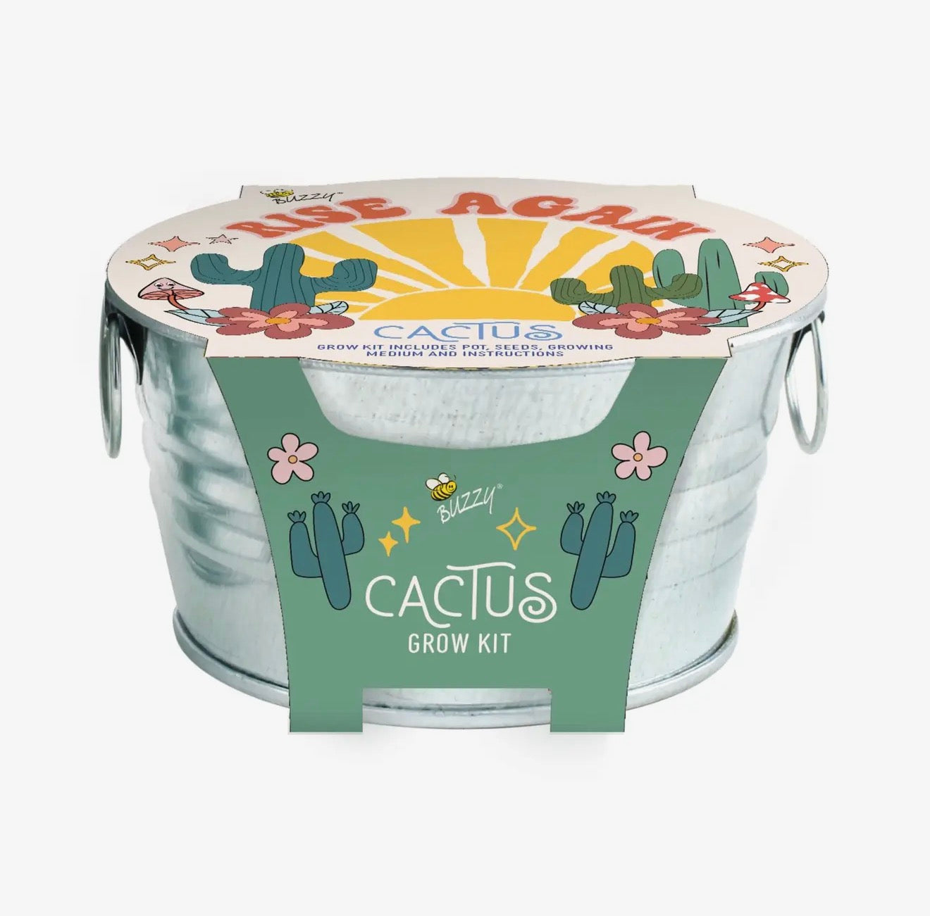Mini Galvanized Basin Cactus Grow Kit