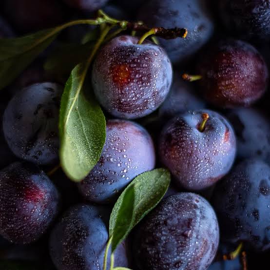 Winter Collection Foaming Hand Soap